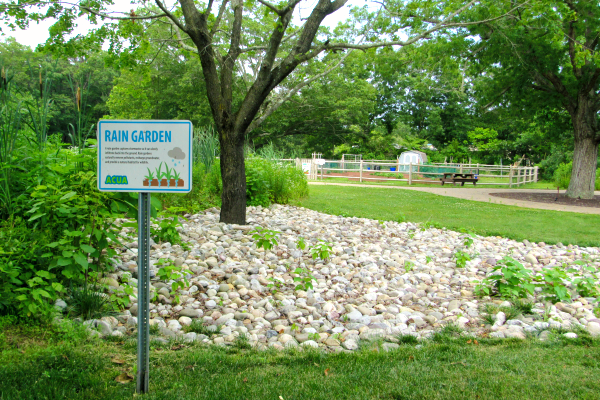 Rain Garden